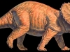 Triceratops.jpg